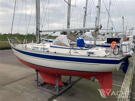 HALLBERG RASSY HALLBERG RASSY 36