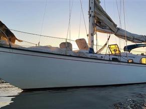 Rhodes Bounty Two 41
