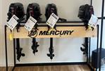 Mercury 6hp Short Shaft