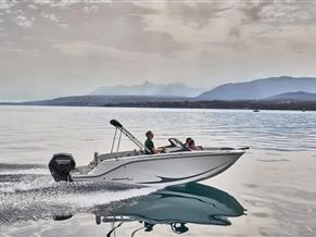 Bayliner M19