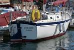 Freedom 30