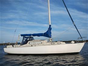 Albin Vega 27