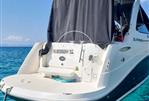 RINKER RINKER 260