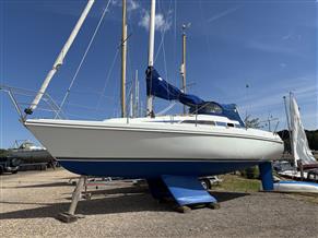 Hunter Horizon 30