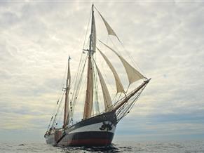 Bodewes Martensbriek Schooner aak