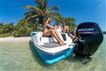 Bayliner M17