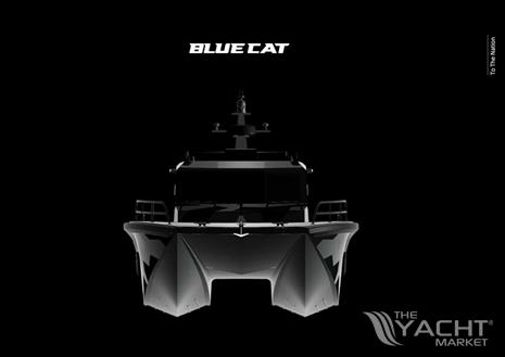 Blue Cat 43 Pilothouse