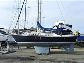 Macwester 27