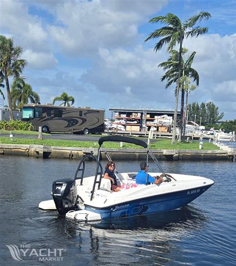 Bayliner Element 16 - 2020 Bayliner Element 16 boat cruising on a sunny day near palm trees.