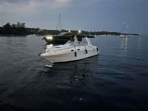 SEA RAY SUNDANCER 275