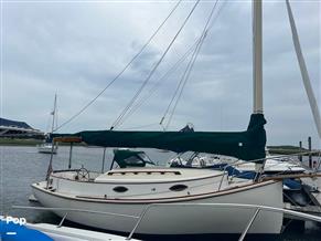 AC Cat 30