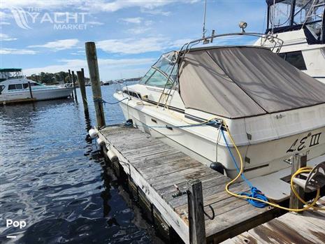 Sea Ray 340 Sundancer Express - 1983 Sea Ray 340 Sundancer Express - Photo #1