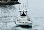 SeaVee IPS