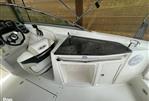 Chaparral 256 SSX - 2008 Chaparral 256 SSX - Photo #4