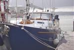 Fortuna 46