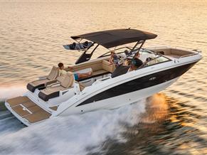 Sea Ray SDX 290