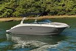 Sea Ray SDX 270