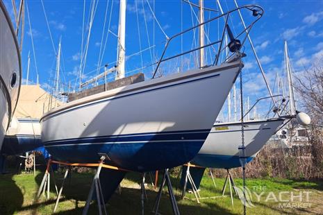 Catalina 34