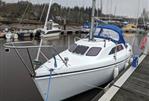 Hunter Ranger 245