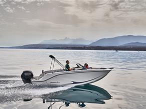 Bayliner M19