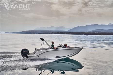 Bayliner M19
