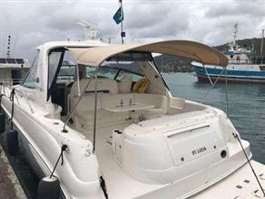 SEA RAY SUNDANCER 460