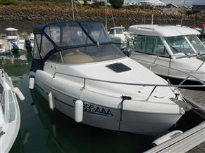 OYSTER MARINE OYSTER 20