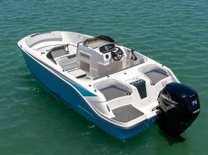 Bayliner Element 17