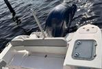 Sea Fox 228 Commander - 49 Hours On Engine