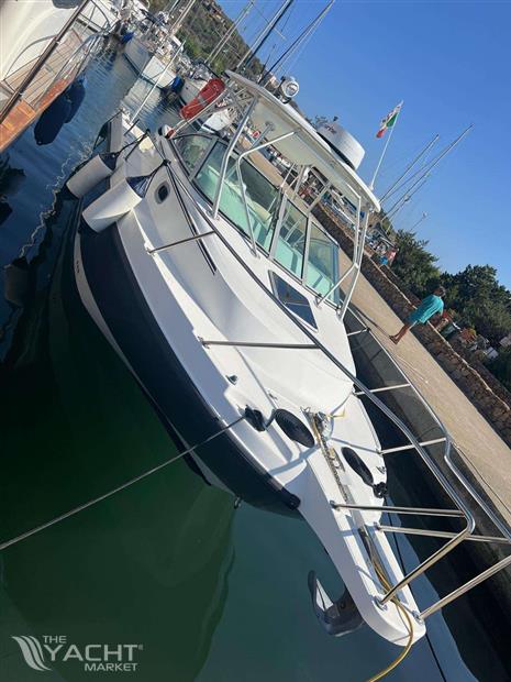 BOSTON WHALER CONQUEST 275