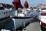 Freedom 30