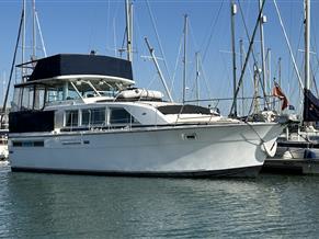 Bertram 42 LIVEABOARD