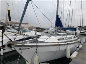 Colvic Countess 28