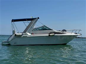 SEA RAY SUNDANCER 250