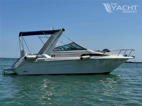 SEA RAY SUNDANCER 250