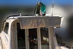 INTERMARE INTERMARE 30 CRUISER