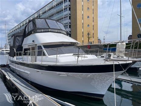 TARQUIN TRADER 41