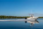 Bayliner Trophy 24 CC - 2024 Bayliner Trophy 24 CC cruising on a calm lake.