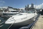 Chaparral 250 Signature