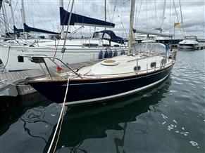 Contessa 26