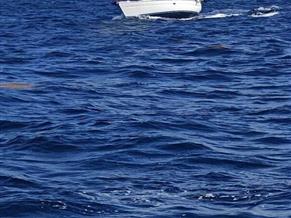 Bavaria 42