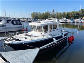 Sargo Sargo (Minor) 25