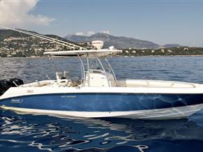 Boston whaler 320