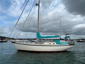 Tradewind 35