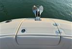 Sea Ray SDX 290 - Electric Anchor Windlass