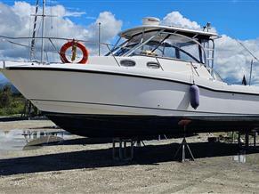 BOSTON WHALER CONQUEST 305