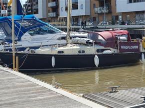 Contessa 26