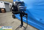 Mercury  5hp long shaft outboard - Mercury 5hp long shaft outboard - side