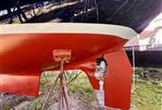 Shannon 43 Cutter