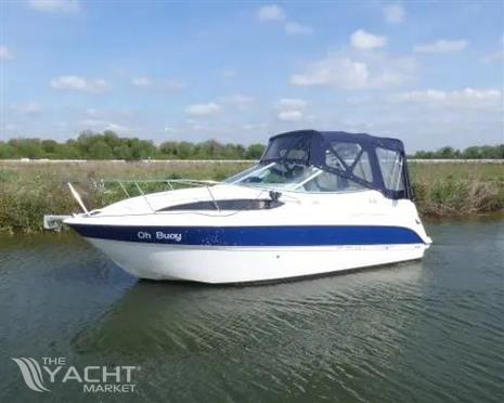 bayliner 245